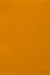 ginger color swatch