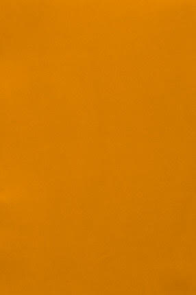 ginger color swatch