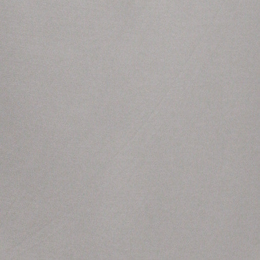 light gray color swatch