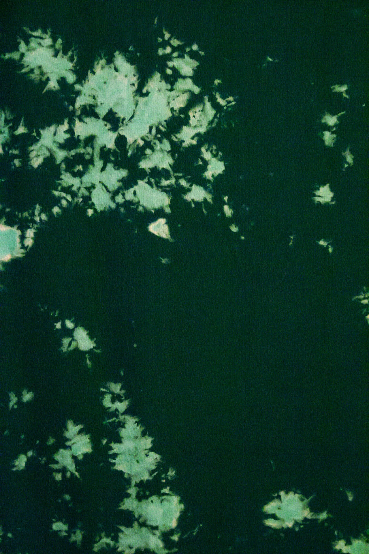 green with light green tie dye pattern swatch