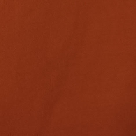 spice color swatch