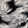 Black With White Fern